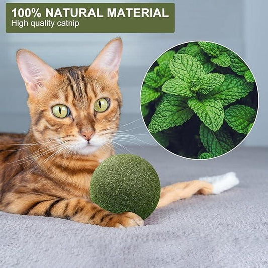 Cat Mint Toy Ball